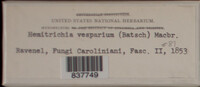 Image Associated With the Occurence